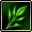 Rainbow Plant(Green)