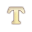 T (Event Item)