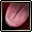 Snake's Red Tongue